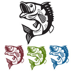 Catching Bass Fish. Vector Fish Color. Graphic Fish. Fish On A White Background. Bassfish. Bass Fishing Tournaments. Big Fish. Fish Jumping. Template Bass Fish.