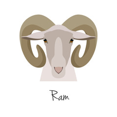 Vector ram head isolated. Flat, cartoon style object