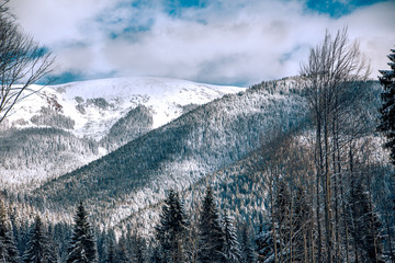 Carpathian mountains nature vacation mountain