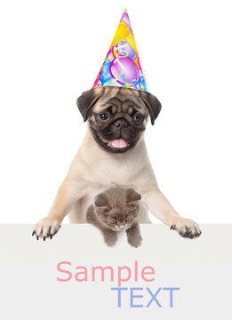 Cat and Dog in birthday hat above white banner. Space for text. isolated on white