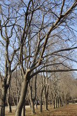 Obraz premium 자연