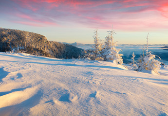 Bright winter sunrise in Carpathian mountains with snow covered