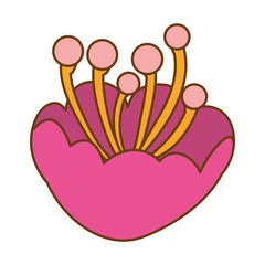pink flower icon image  vector illustration design