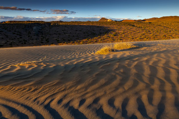 Sand dune with blowing sand at sunset near Nixon, Nevada