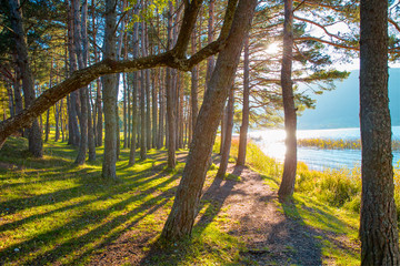 Abant Lake