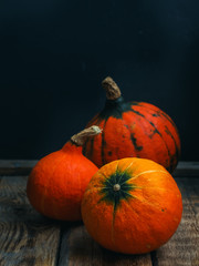 Autumn pumpkin for halloween