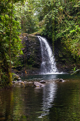 Fototapeta na wymiar Waterfall in the middle of the Ecuadorian jungle