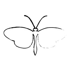 butterfly silhouette icon image vector illustration design 