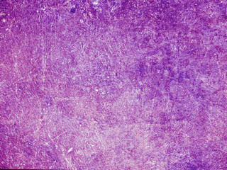 abstract purple background, vintage grunge background texture design, background for printing brochures or papers