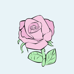 pink rose pattern