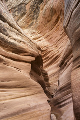 Little Wild Horse Slot Canyon in Utah