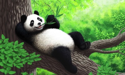 Panda