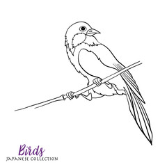 Japanese birds. Stock line vector illustration. Coloring book fo