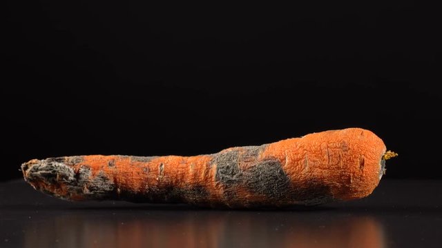 Spoiled rotten carrots rotates on a black background