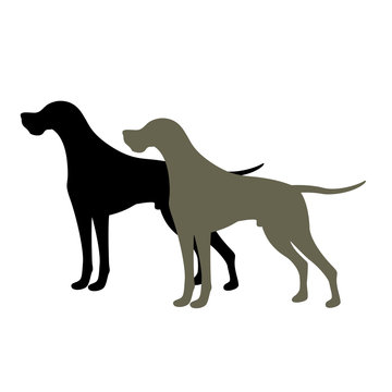 pointer Dog Vector illustration style Flat