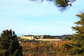 Avignon