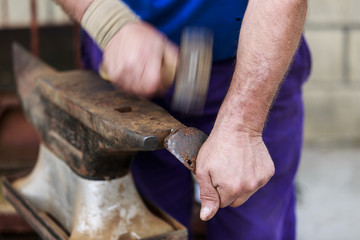 The hands of a man fixing the horseshoe of a horse