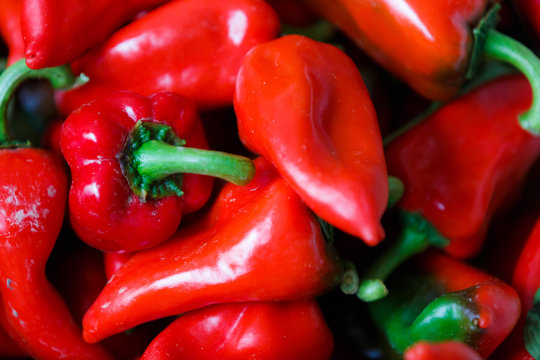 Background of piquillo peppers, in Lodosa, spain