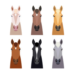 vector horse head set. Flat, cartoon style object. Different colors