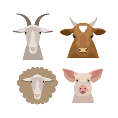 Vector domestic, farm animals head collection in flat, cartoon style