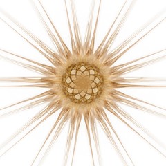 Sternförmiges Fraktal - beige
