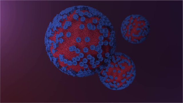 Virus of lassa fever disease. Animation of lassa virus illness floating. 
