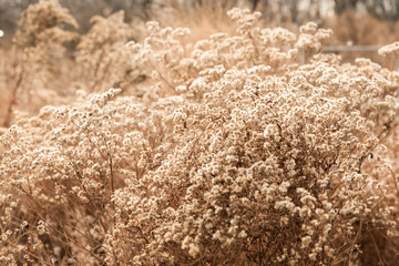 Winter Textures