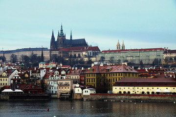 Fototapeta premium Czech Republic. Prague. Panorama of the city with views of the Cathedral of St. Vitus