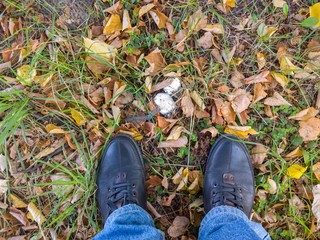 Feet on the yellow leaves.