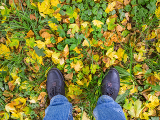 Feet on the yellow leaves.