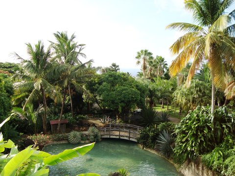 jardin tropical