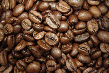 Fototapeta premium Coffee beans
