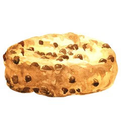 Hand drawn watercolor delicious cookie with chocolate drops, isolated on white background.  Vector illustration,