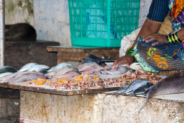 india mumbai slum people and children working and living laundry, plasitic
