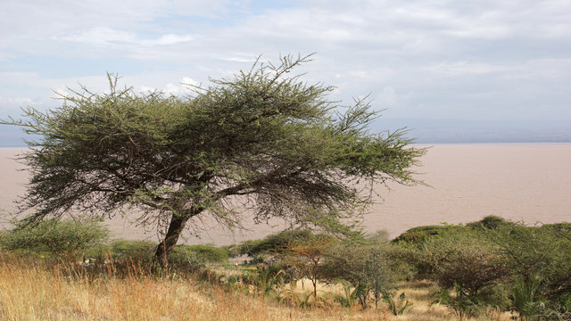 Langano See, Äthiopien, Afrika