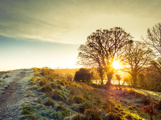 Countryside winter  morning sunrise,Northern Ireland