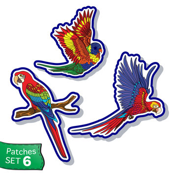 PrintFashion patch set, badges with tropical parrots. This illus