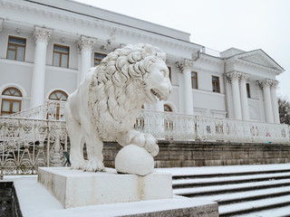 Sculpture of a Lion cast from metal.