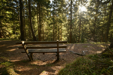 One bench in the middle of nowhere, in beautiful forests of French Alps Mountains, Mont Blanc Massif, close to Switzerland