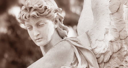 Figure Of  Angel