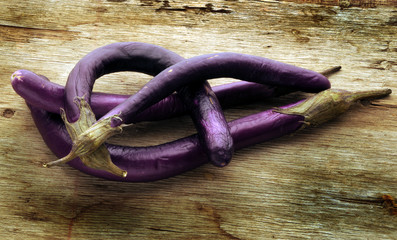 Solanum melongena Lilek vejcoplodý Cà tím Melanzana Eggplant Psianka podłużna Melanzane Baklažán Perlina Padlizsán Aubergine Perline มะเขือยาว  © Comugnero Silvana
