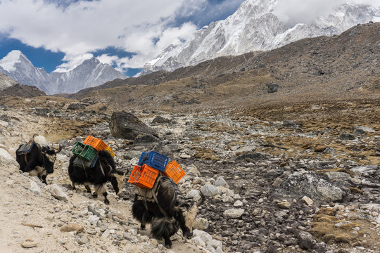 Dingboche to Lobuche, Nepal