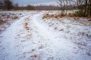 Bad weather winter meadow landscape