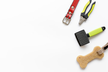 concept pet care and training on white background top view