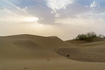 Fototapeta na wymiar Thar Desert, Jaisalmer, India