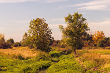 Fototapeta premium Sundown over a beautful and colorful meadow.