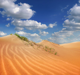 sand desert landscape