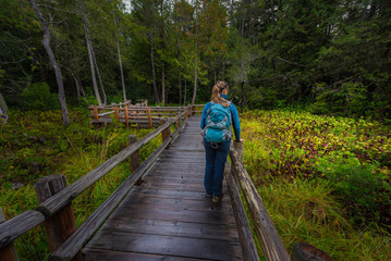 Backpacker on  Darlingtonia Walkway at Sutton Creek Campground,