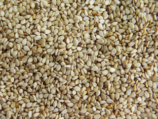 Sesame Seeds