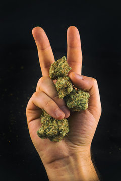 Hand holding cannabis buds and doing the peace sing isolated ove